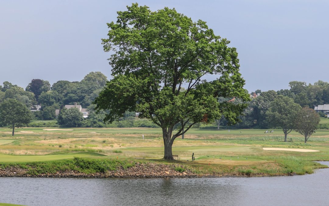 Seniors and Super Seniors Advance to Westchester Amateur Championship