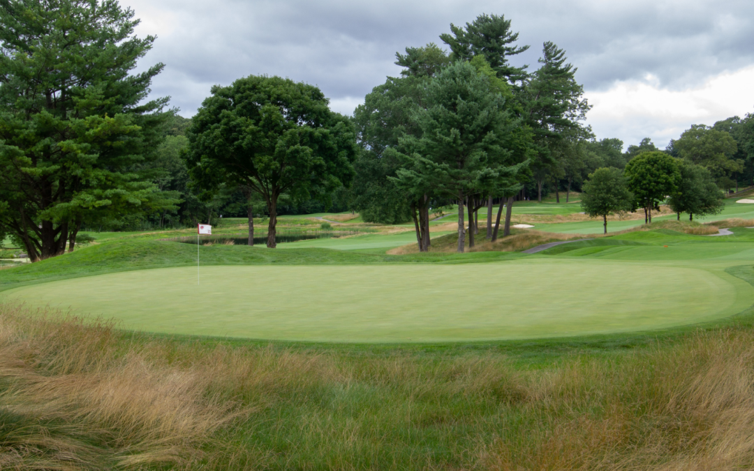 Qualifiers Advance to Westchester Amateur